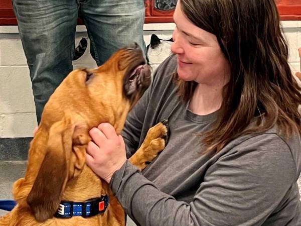 ２年間行方不明だった愛犬　発見された場所に、目を疑う