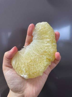 デカすぎるひと房！この果物の名前は？　「初めて知った」「食べてみたい」