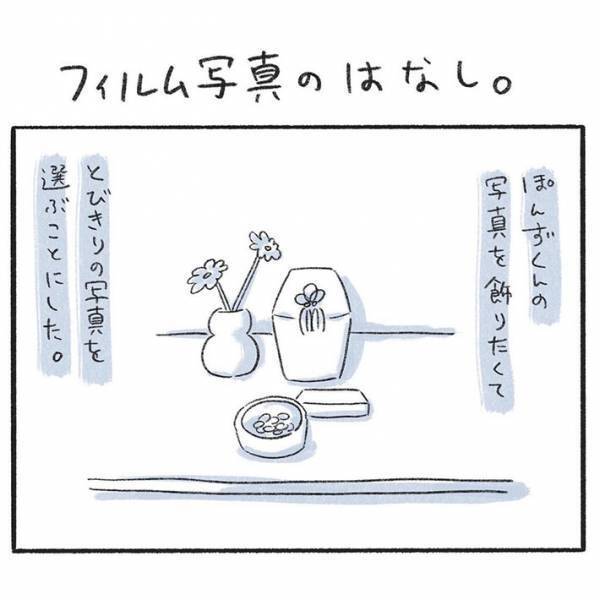 亡くなった愛猫の写真を見る飼い主　「意外と涙が出ない」と思っていたが…？