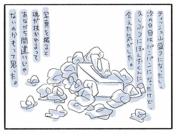 亡くなった愛猫の写真を見る飼い主　「意外と涙が出ない」と思っていたが…？