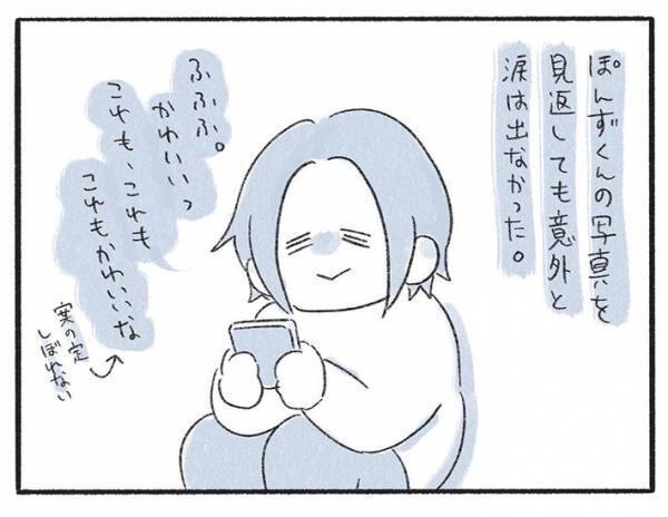 亡くなった愛猫の写真を見る飼い主　「意外と涙が出ない」と思っていたが…？