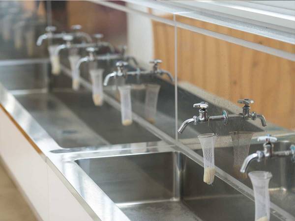 「１人でお弁当を食べる人がいないように」　先生の指示をよく聞いていた、小学生の行動に「笑った」