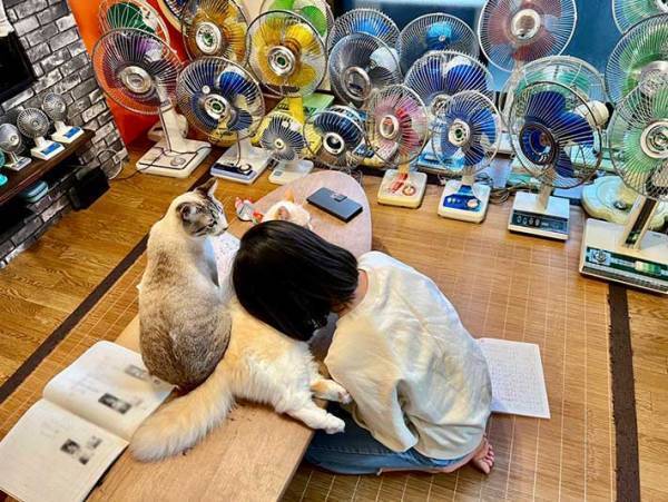 宿題を猫に邪魔された娘　取った行動に「うらやましい」の声