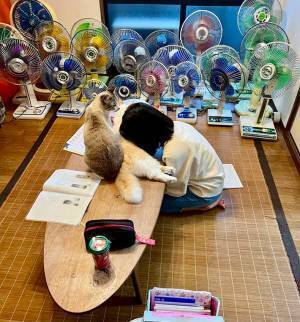 宿題を猫に邪魔された娘　取った行動に「うらやましい」の声