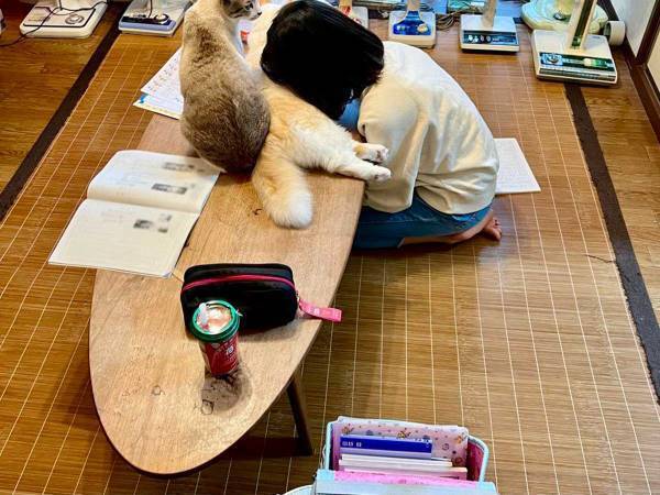 宿題を猫に邪魔された娘　取った行動に「うらやましい」の声