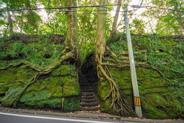 突然現れた…？　ネットに投稿された階段の写真に「これが異世界に通じる道か！」