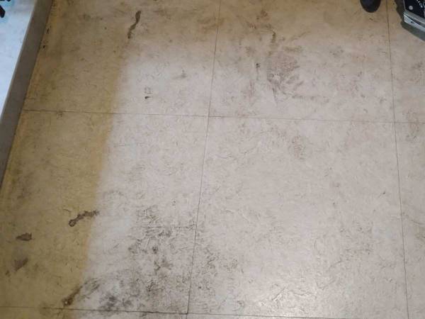 玄関の掃除どうする？　話題のダイソーアイテムで拭いてみたら「ピッカピカ！」