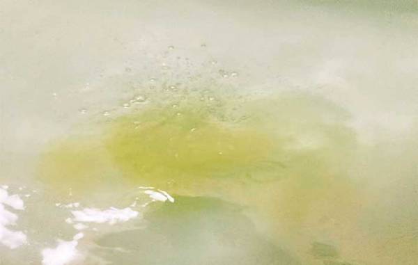 お風呂に入浴剤を投入　プカリと浮かんできたものに「笑った」