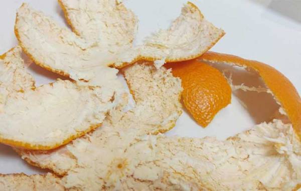 いつも捨ててるミカンの皮　驚きの活用法に「万能すぎる」「ストックしたい」