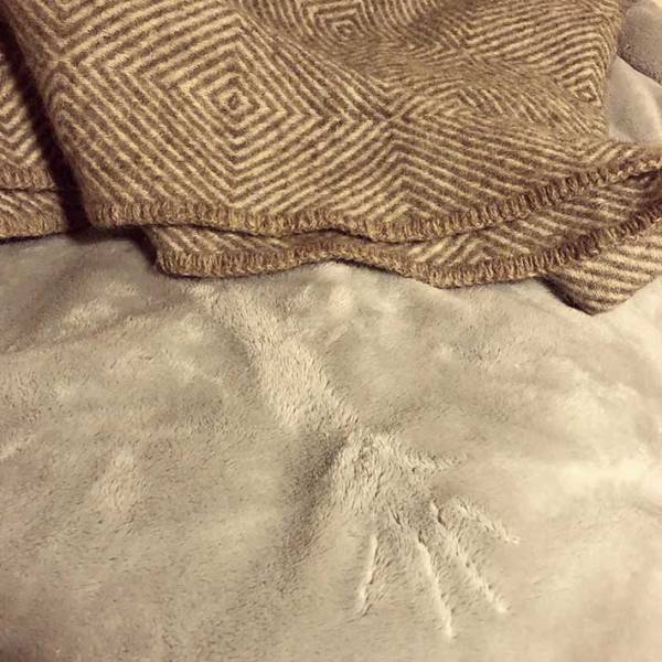 ちょっぴり、ホラー？　猫が伸びをした後が、人間の手形にそっくり