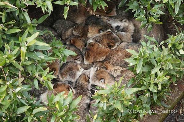 「えらいことになってた」　動植物園で撮られた１枚に、反響！