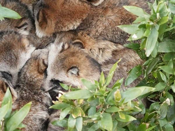 「えらいことになってた」　動植物園で撮られた１枚に、反響！