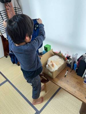 猫たちにブランケットをかけて回った息子　１匹だけかけなかった理由に納得
