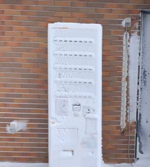 お茶がどれなのか選べない…！　自販機の光景に「笑いが止まらん！」