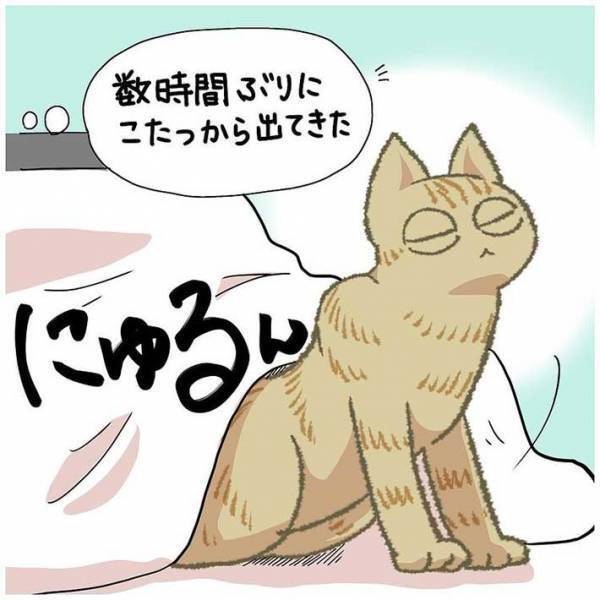 「気持ちよさそう」　リラックスする猫を見て、飼い主「まるで…」