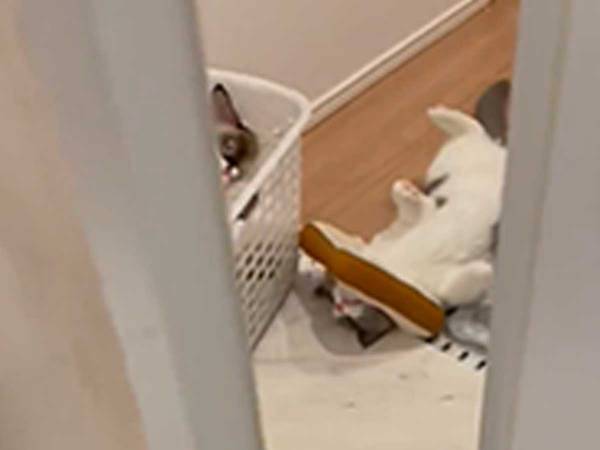 「こんなん笑う」　お風呂の扉を開けると、広がっていた光景に吹き出す