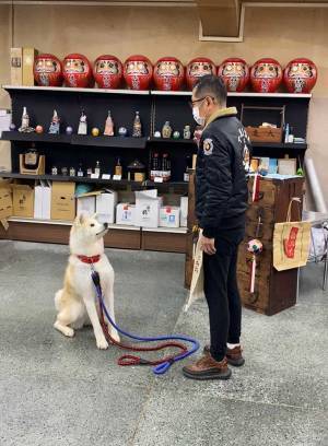 「かわいすぎ」「うらやましい」の声　朝礼の様子を写した１枚だが…？