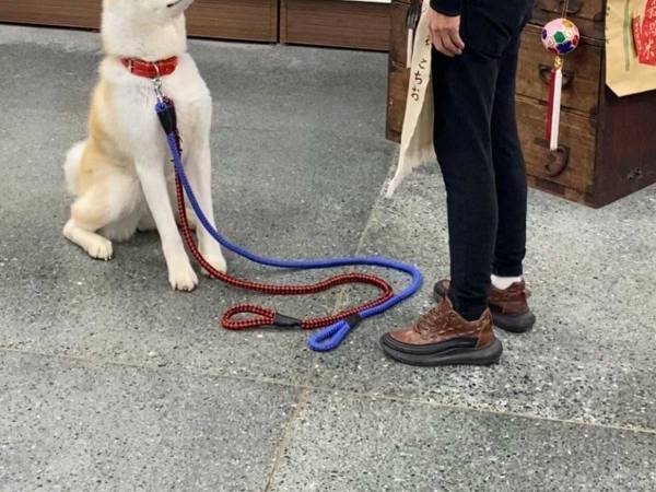 「かわいすぎ」「うらやましい」の声　朝礼の様子を写した１枚だが…？