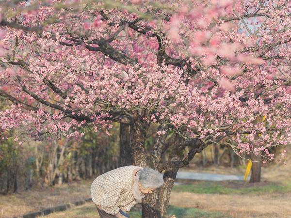 おばあちゃんと柴犬を撮った写真に反響　「幸せな気持ちになる」「涙が出た」