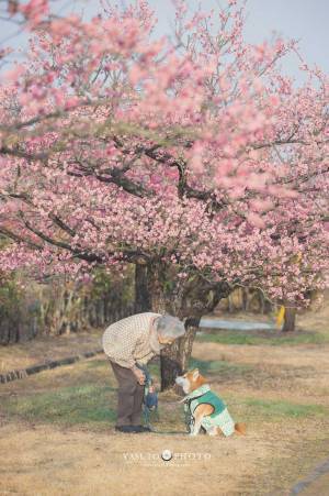 おばあちゃんと柴犬を撮った写真に反響　「幸せな気持ちになる」「涙が出た」