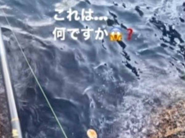 釣り中、うっかり海にパンを落としてしまった女性　思わぬ展開に「ありがとうな！」