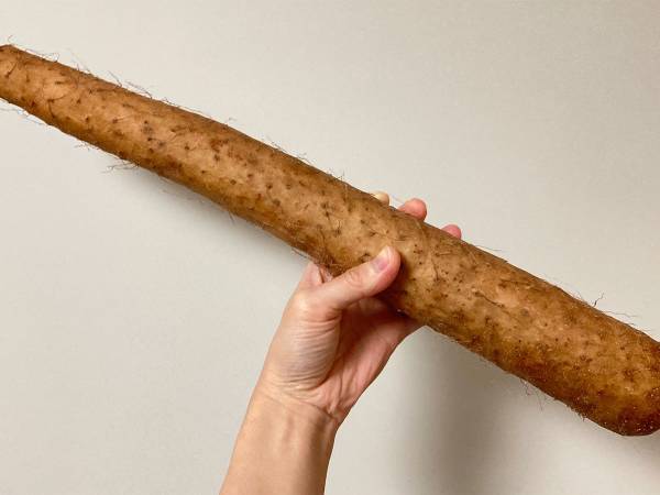 長芋は、焼いてもおいしい！　JA全農が公開したレシピに「今から作る」の声