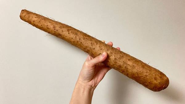 長芋は、焼いてもおいしい！　JA全農が公開したレシピに「今から作る」の声