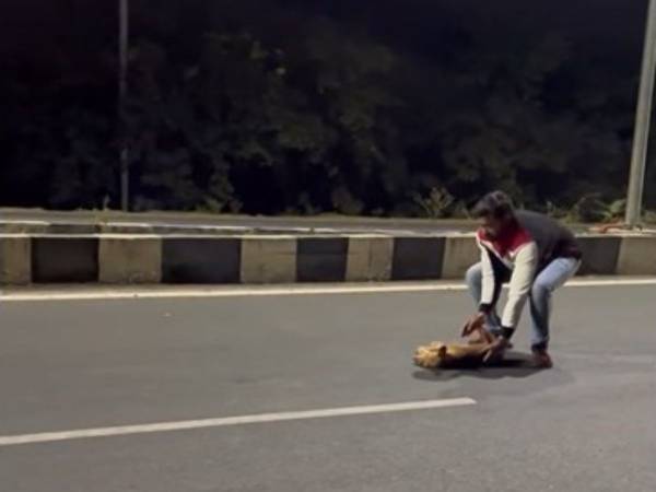 道路上で倒れている犬　車が行き交う中、近付いた男性「まさか…」