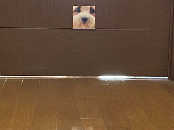 玄関から見えるリビングの扉　下を見ると？　「外に出られなくなっちゃう」