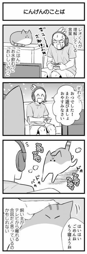 通話をしながらゲームをしていた飼い主　終了すると、猫が近寄ってきて？