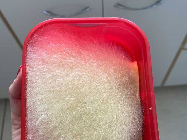 「まだ食べられそうですよね？」　冷蔵庫から発見された『モッツァレラ』にツッコミの嵐