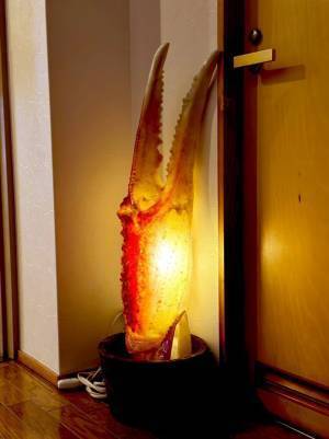 「帰るまでに１０回以上は目に入っていた」　旅館の照明が気になって仕方ない