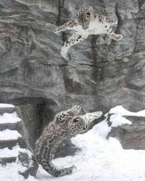 本気になった母親　漫画のようなポーズに「笑った！」「神ショット」