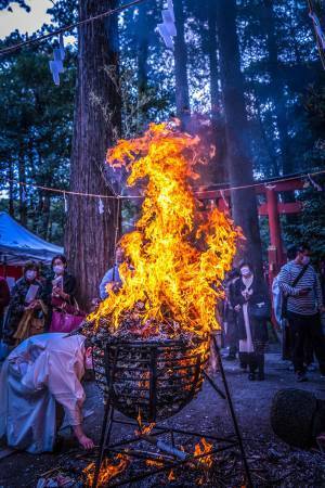 神社で撮影された１枚に「奇跡だ」「神々しい…！」　そこに写っていたのは？