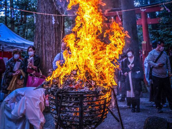 神社で撮影された１枚に「奇跡だ」「神々しい…！」　そこに写っていたのは？