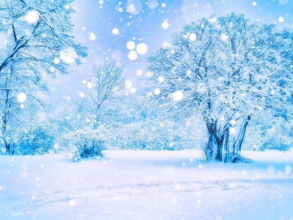 まさかの略語だった！　「雪やこんこ♪」の『こんこ』の意味