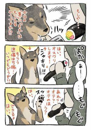 恵方を向いて『恵方巻き』を食べ始めた飼い主　すると、目の前にいた犬が…