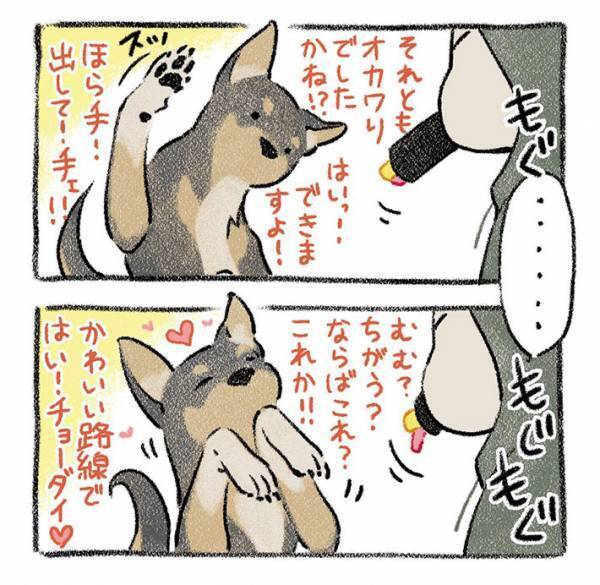 恵方を向いて『恵方巻き』を食べ始めた飼い主　すると、目の前にいた犬が…