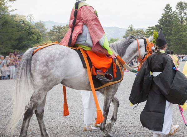 【『大奥』感想４話】堀田真由・斉藤由貴、二人の『母』の覚悟で描く男女逆転社会のリアリティ