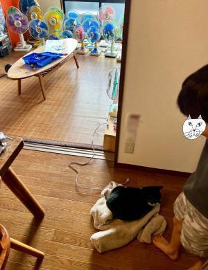 床に脱ぎ捨てられた息子の上着を発見　「ちゃんとすることがあるでしょ」と伝えると？