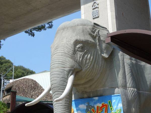 「さすがに度が過ぎている」　動物園が一部客による不適切な行動に注意喚起