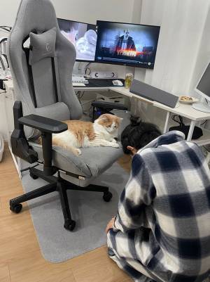 「椅子をお借りできないでしょうか…」　頭を下げる男性の前にいたのは？