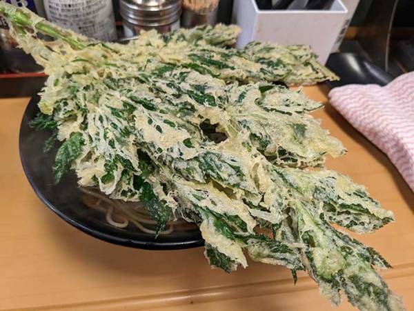 『富士そば』で「油断できない」と実感！　注文の商品に「大きくない…？」