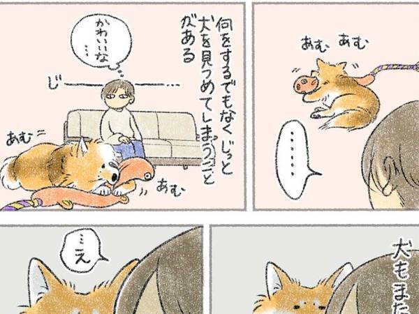 愛犬をじっと見つめてしまう飼い主　犬のほうもまた？　「笑った」「無言の圧が」