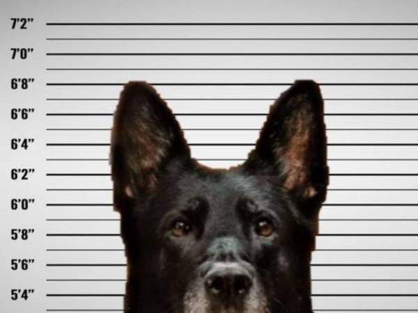 同僚のサンドイッチを盗んだ『現役警官』　警察が顔写真を公開すると…？