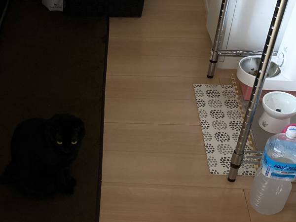 キッチンのインテリアに失敗　「これは危ない」「お分かりいただけただろうか」