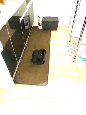 キッチンのインテリアに失敗　「これは危ない」「お分かりいただけただろうか」