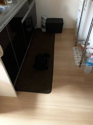 キッチンのインテリアに失敗　「これは危ない」「お分かりいただけただろうか」