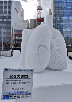 雪まつりで異彩を放っていたオブジェに「笑った」「めちゃリアル！」