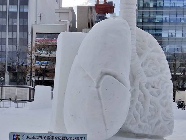 雪まつりで異彩を放っていたオブジェに「笑った」「めちゃリアル！」